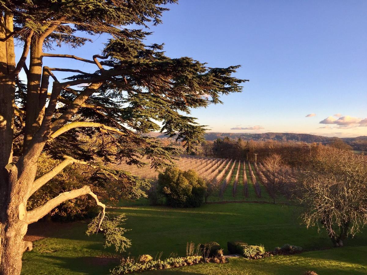 Glewstone Court Country House Hotel Ross-on-Wye Екстер'єр фото